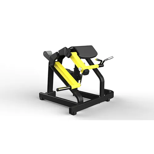Biceps Curl